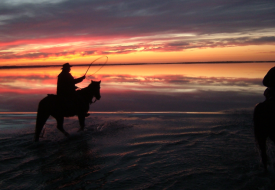 Crossing to Snake Island (3)